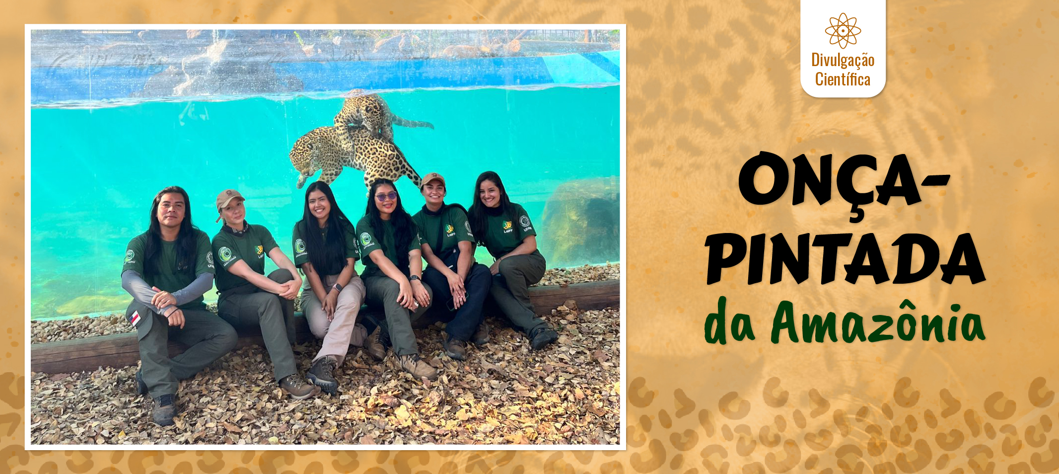 Iniciativas gestadas na Ufam buscam a transformar a relação entre as pessoas e as onças-pintadas na Amazônia