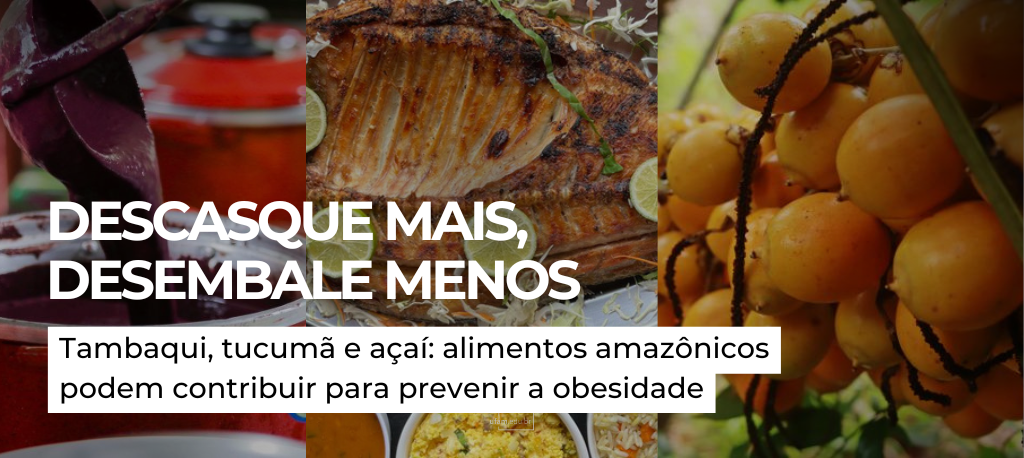 Tambaqui, tucumã e açaí: alimentos amazônicos podem contribuir para prevenir a obesidade